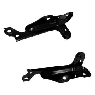 Alzare® - Hood Hinge