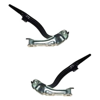 Alzare® - Hood Hinge