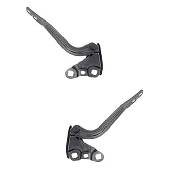 Alzare® - Hood Hinge