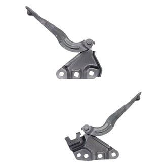 Alzare® - Hood Hinge