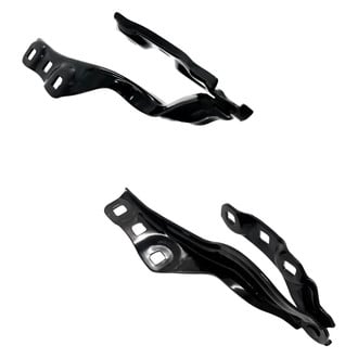 Alzare® - Hood Hinge