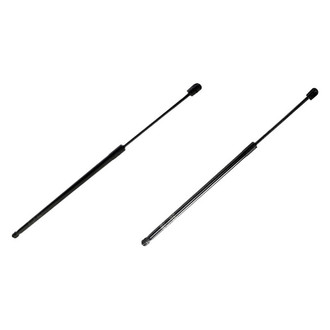 Alzare® - Hood Lift Support