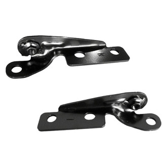 Alzare® - Front Hood Hinge
