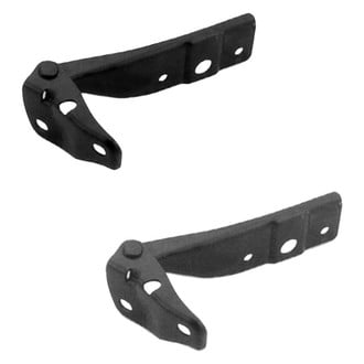 Alzare® - Hood Hinge
