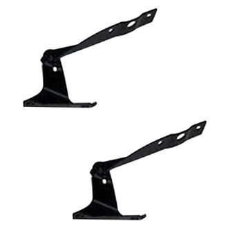 Alzare® - Hood Hinge