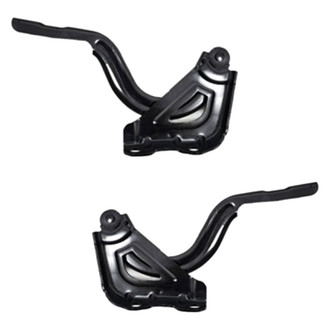 Alzare® - Hood Hinge