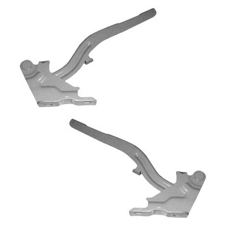 Alzare® - Hood Hinge