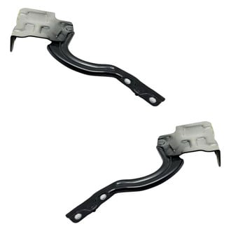 Alzare® - Hood Hinge
