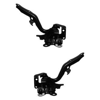 Alzare® - Hood Hinge