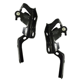 Alzare® - Hood Hinge