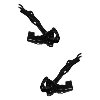 Alzare® - Hood Hinge Set (Standard Line)