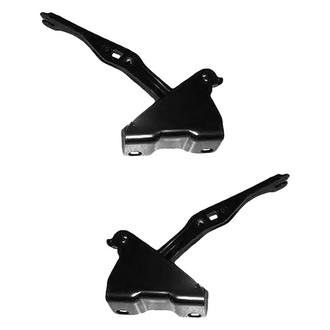 Alzare® - Hood Hinge