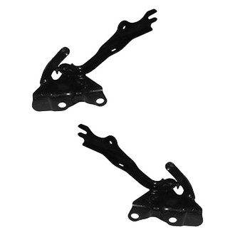 Alzare® - Hood Hinge