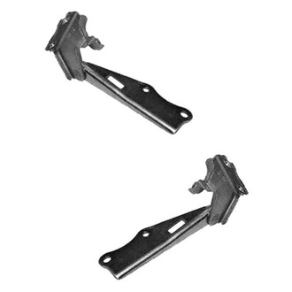 Alzare® - Hood Hinge