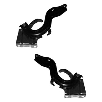 Alzare® - Hood Hinge