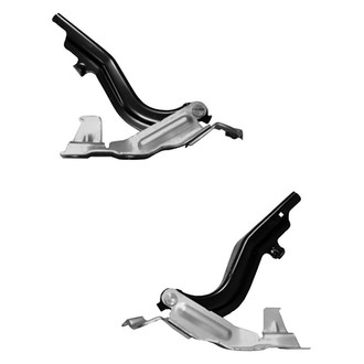 Alzare® - Hood Hinge