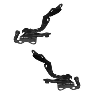 Alzare® - Hood Hinge