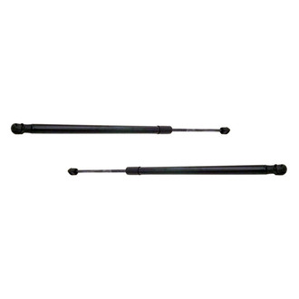 Alzare® - Hood Lift Support