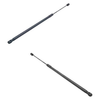 Alzare® - Hood Lift Support
