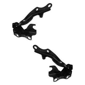 Alzare® - Hood Hinge Set (Standard Line)