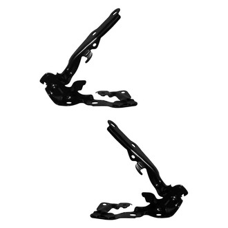 Alzare® - Hood Hinge