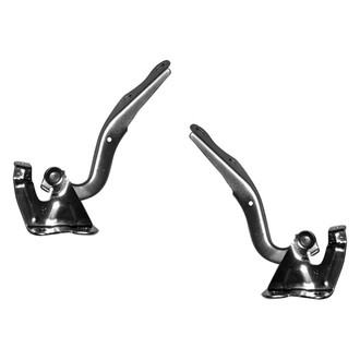 Alzare® - Hood Hinge