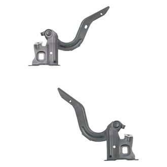Alzare® - Hood Hinge Set (Standard Line)