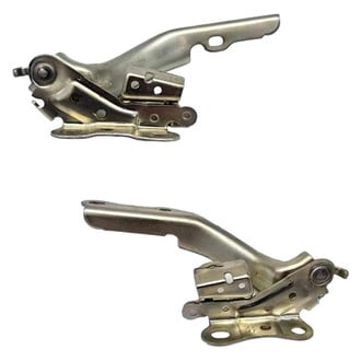 Alzare® - Hood Hinge