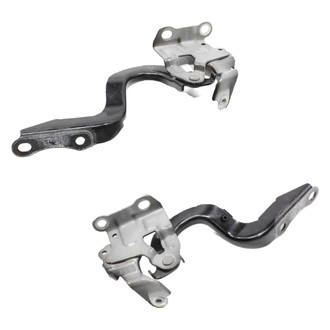Alzare® - Hood Hinge