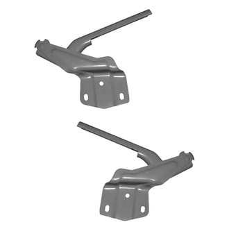 Alzare® - Hood Hinge