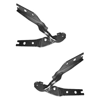 Alzare® - Hood Hinge Set (Standard Line)