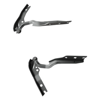 Alzare® - Hood Hinge