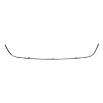 Alzare® - Front Bumper Cover Molding