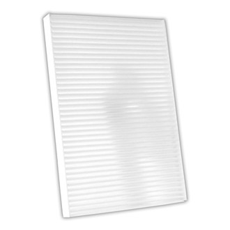 AmeriBRAKES® - Cabin Air Filter