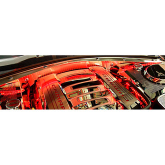 ACC® - Red Illuminated Polished Wiper Cowl Trim Kit