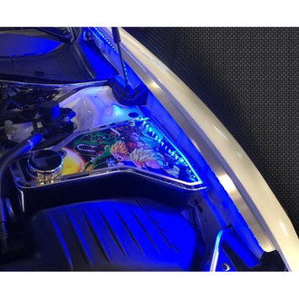 ACC® - Non-Illuminated Polished Fender Caps