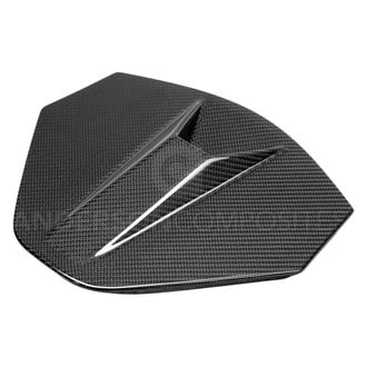 Anderson Composites® - Gloss Carbon Fiber Rear Decklid Housing Panel with Location for Backup Camera