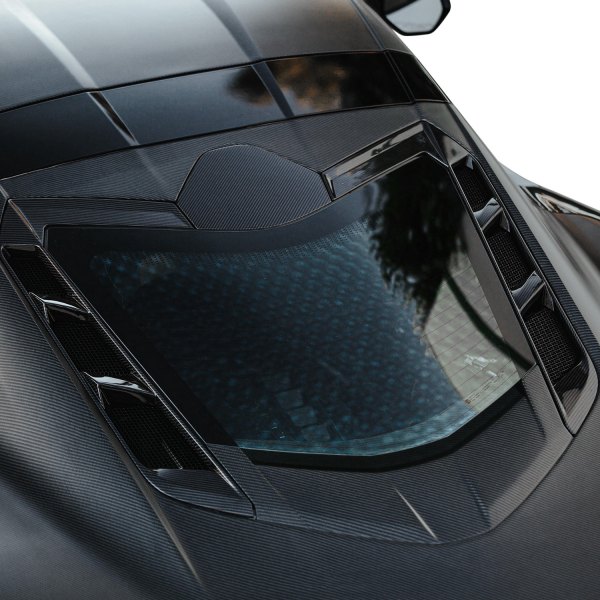 Anderson Composites® - Carbon Fiber Rear Decklid Housing Panel without Location for Backup Camera