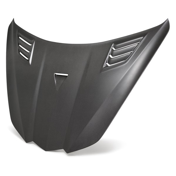 Anderson Composites® - Type-GT Matte Dry Carbon Fiber Hood