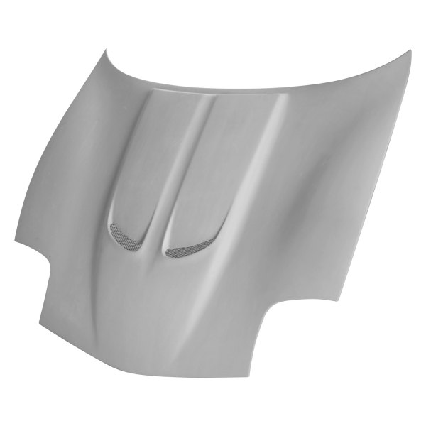Anderson Composites® - Type-TD Fiberglass Hood (Unpainted)