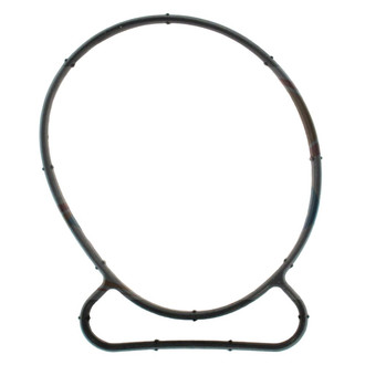 Apex Auto® - Fuel Injection Throttle Body Mounting Gasket