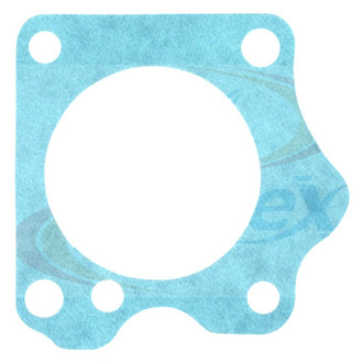 Apex Auto® - Fuel Injection Throttle Body Mounting Gasket
