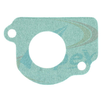 Apex Auto® - Fuel Injection Throttle Body Mounting Gasket