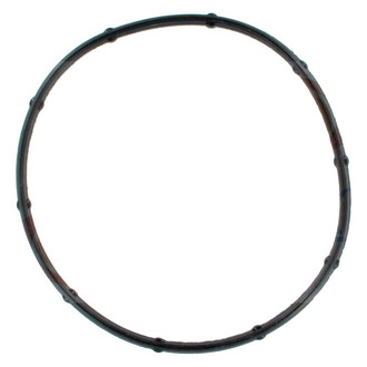 Apex Auto® - Fuel Injection Throttle Body Mounting Gasket
