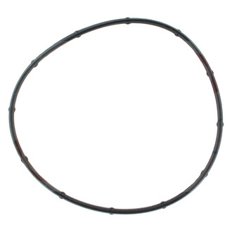 Apex Auto® - Fuel Injection Throttle Body Mounting Gasket
