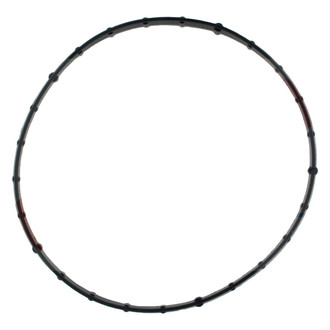 Apex Auto® - Fuel Injection Throttle Body Mounting Gasket