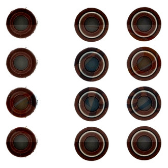 Apex Auto® - Valve Stem Seal Set