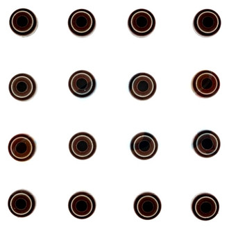 Apex Auto® - Engine Valve Stem Seal Set
