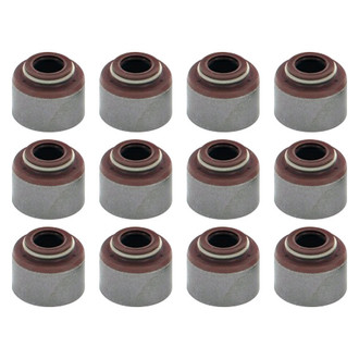 Apex Auto® - Engine Valve Stem Seal Set