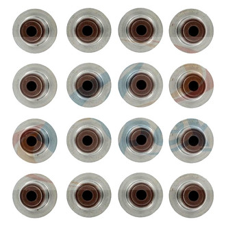 Apex Auto® - Engine Valve Stem Seal Set